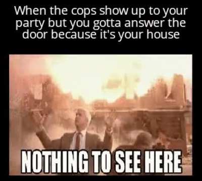 Trust me officer there has always been a trex on my roof I swear