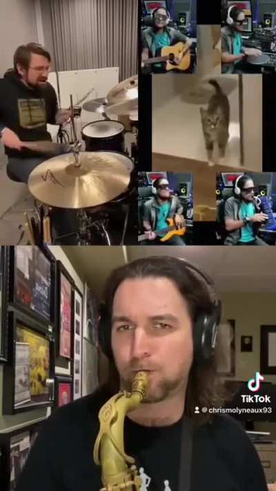 Morning Cat Song
