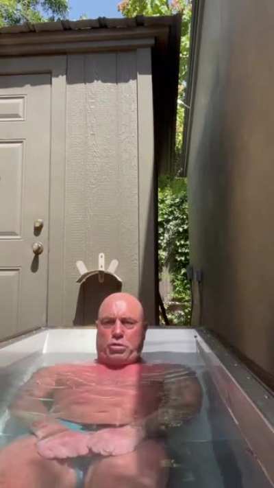 No context Joe Rogan