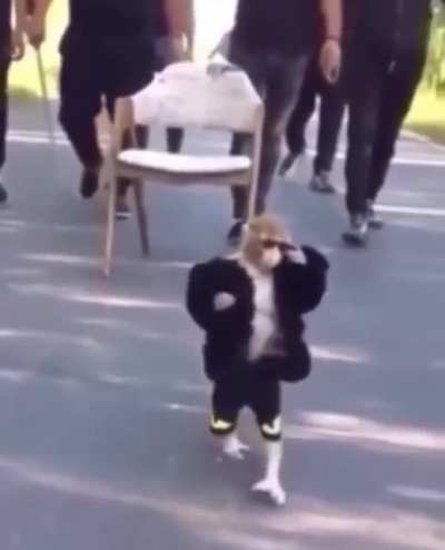 blursed_blingmonkey