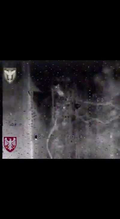 Ukrainian drone drops grenades in the night on a group of Russian soldiers 