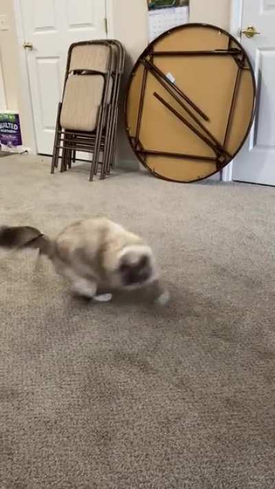 I spend $150 on toys and THIS is her favorite thing to do. . .
