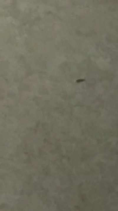 1 hafta önce felan yazmıştım gruba yardım edin bu ne diye inanmamıştınız koridorda buldum buyrun.
