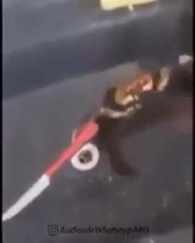 piolardo