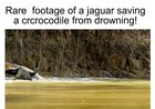 Nature is beautiful