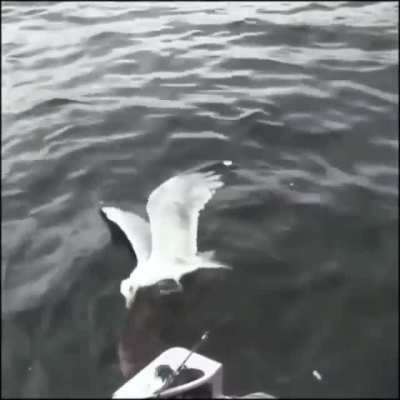 Где деньги, Лебовски?