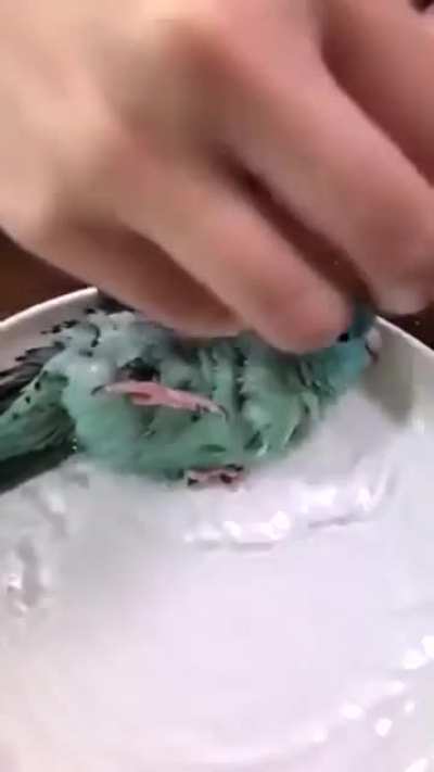 bath time