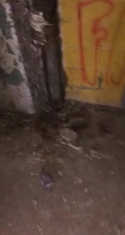 Sketchy building