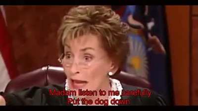Dog immediately recognizes it's owner