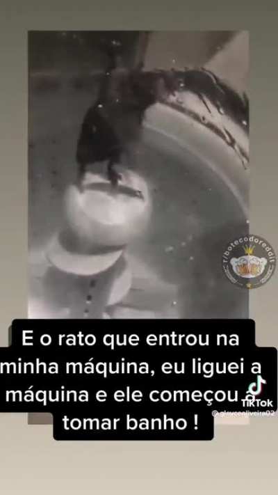 🐭 🛀
