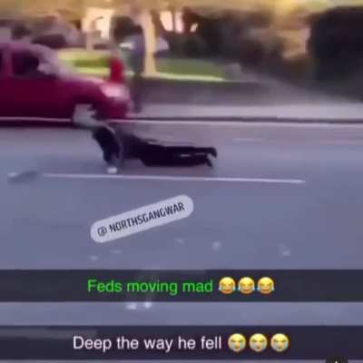 😂😂man dolphin dived
