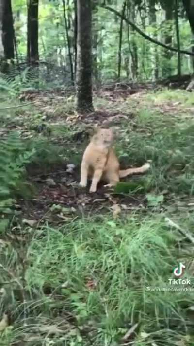 Aaah a Mae natureza