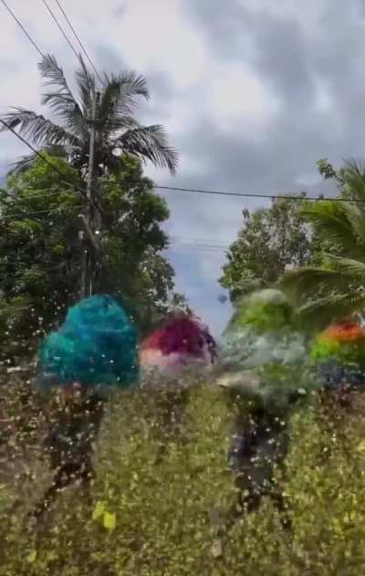 ThisLooksFun 