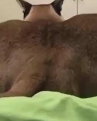 ???????