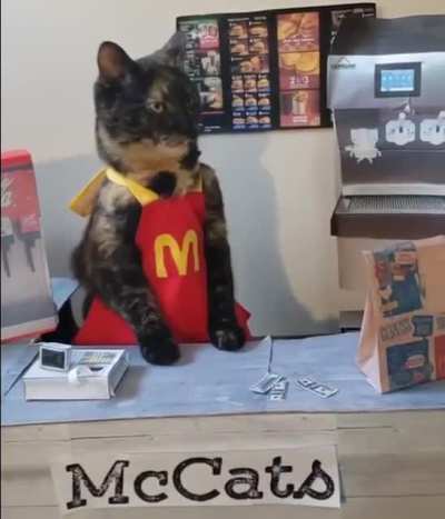 One McFlurry pls