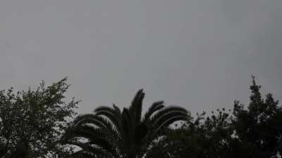 Rainy Days