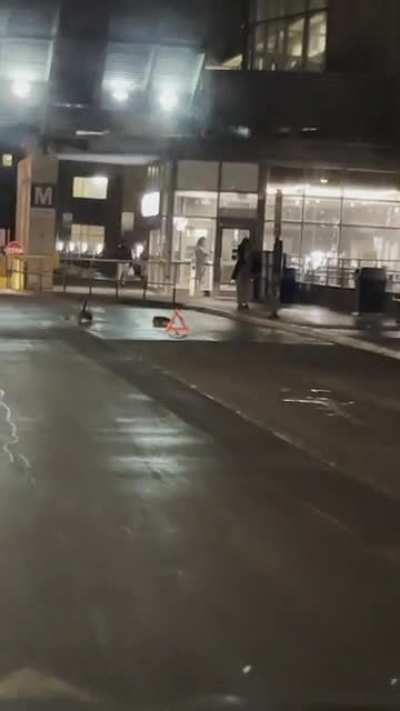 How polite are Canadians? 🇨🇦 polite enough to leave two Canadian Geese chilling in a bus lane at a hospital after a rain fall by putting up a pylon so they won’t be disturbed 😝