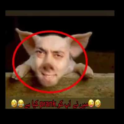 salmon khan