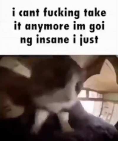 cant take it