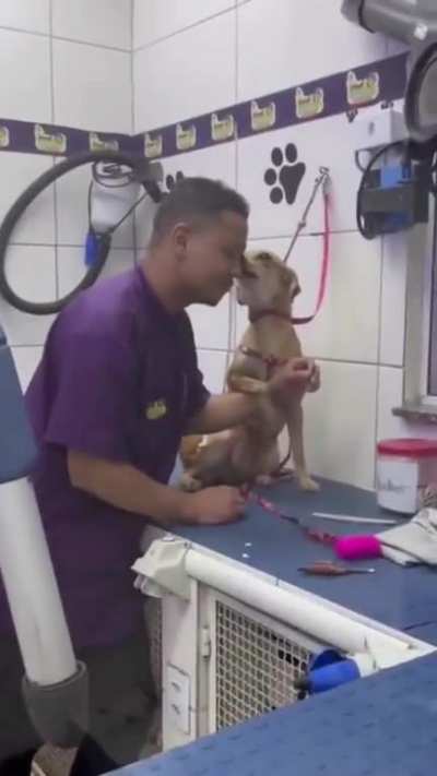 Doctor, 