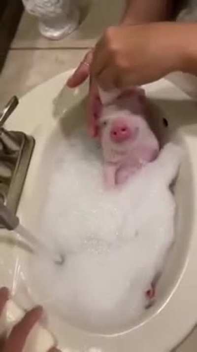 Spa time! 🐷