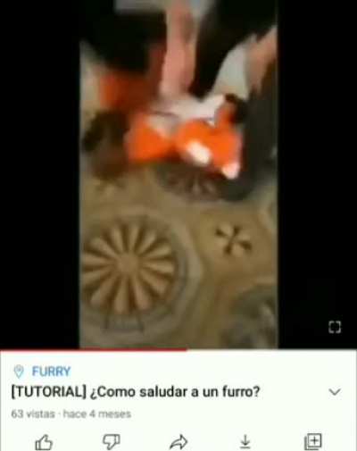 ._.XD