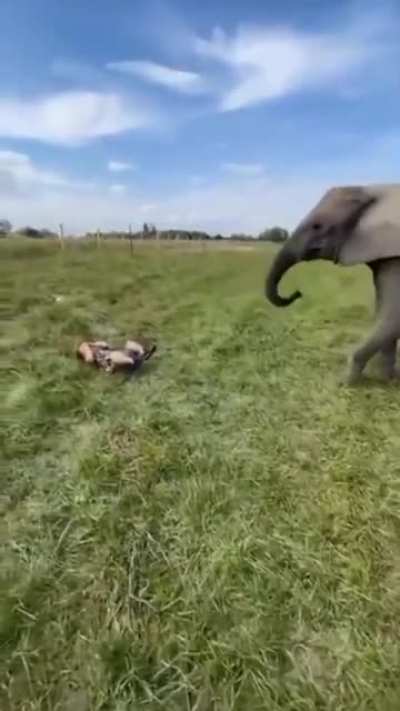 Take me to the hospital