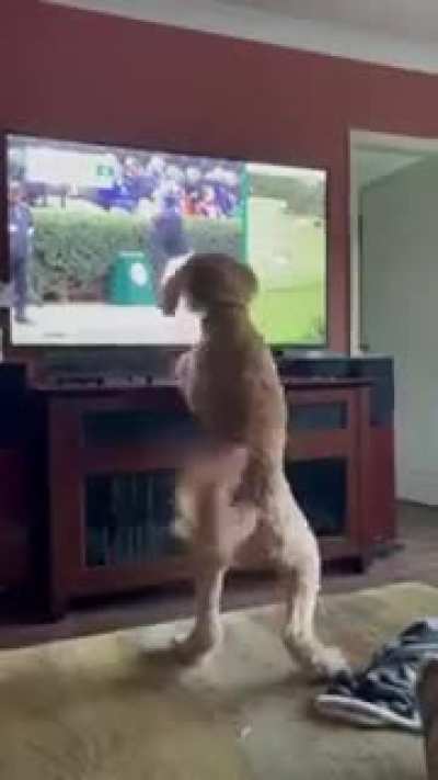 Where did it go?
