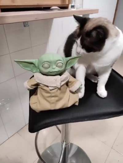 I think he doesn't like it