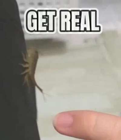 Get real.