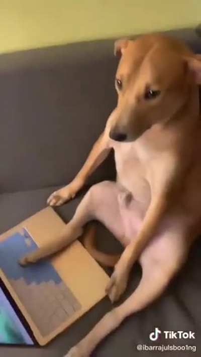 Chat's Future