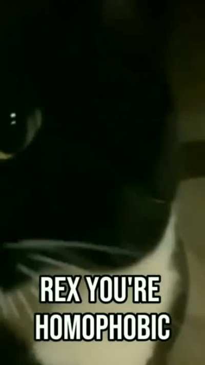 Rex , you're homophobic 😲