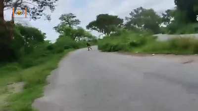 Dog Killers People's Defense Force Myinmu Attack Myanmar Army Soldiers Demanding Money on the Myinmu Roads (9/11)