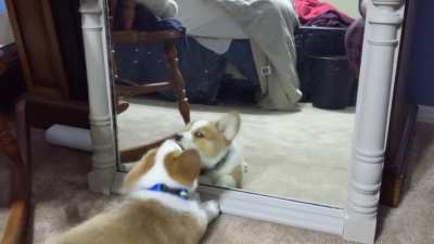 Why won't he play with me???