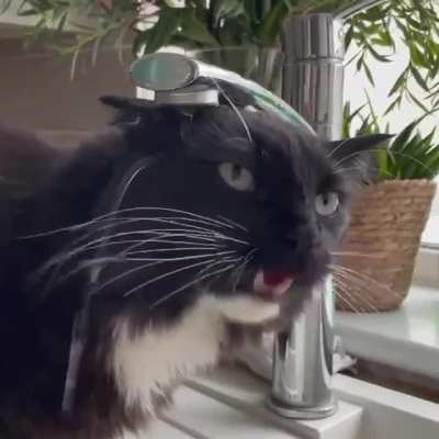 There was an attempt to drink water.