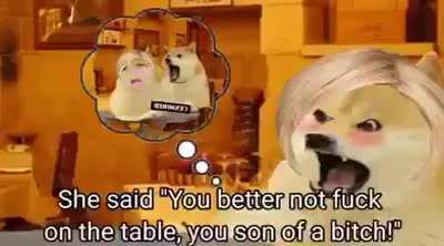 doge
