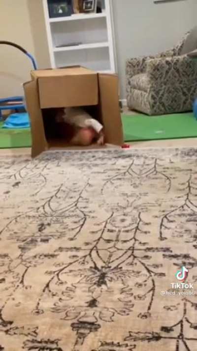 Cardboard Clothesline