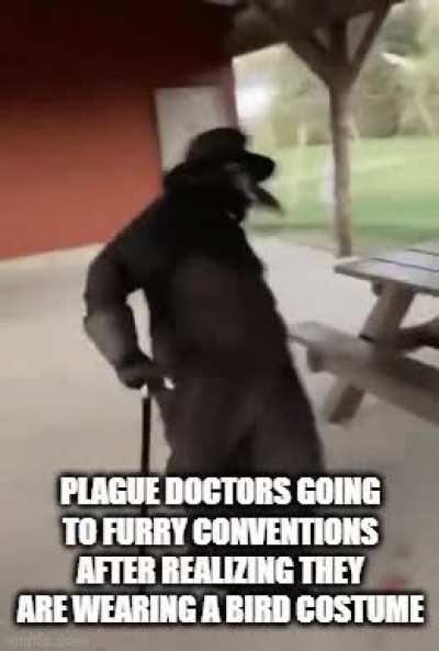 bird_irl