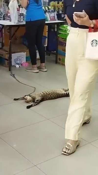 Rough day