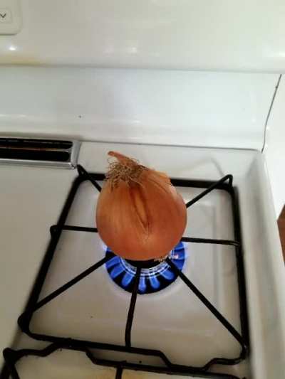 petite cuisine