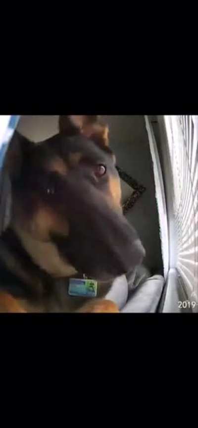Unknown motion detected on security camera