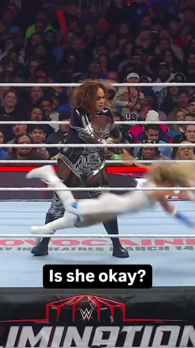 Nia Ragdolls Trish