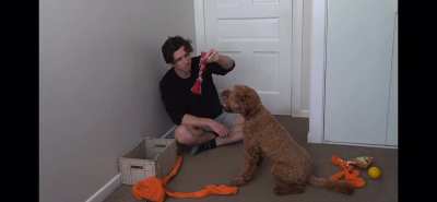 That didn’t work, also doggie