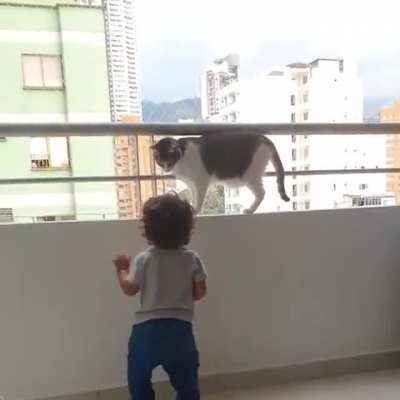 Кот сторо<wbr>ж/защ<wbr>итник