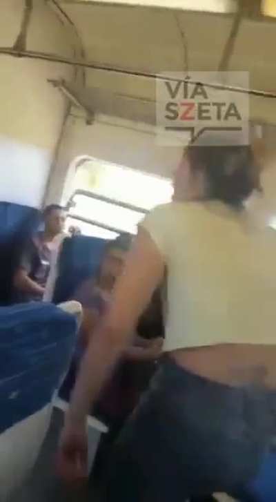 Pelea en el tren