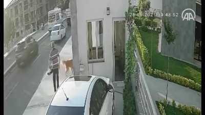 Maybe maybe maybe
