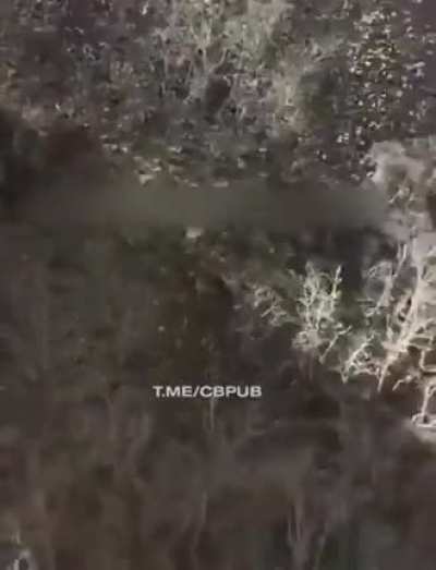 Прыжок к данти<wbr>сту