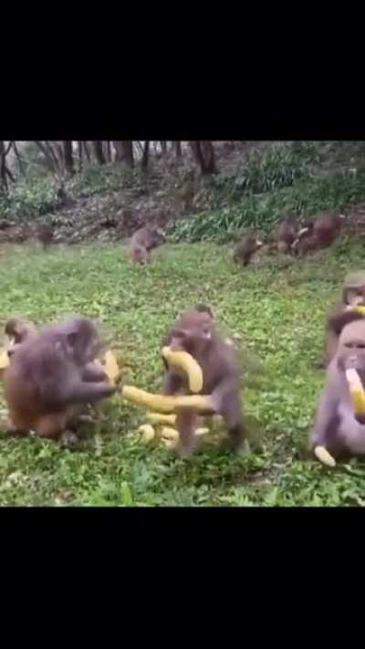 BANANA