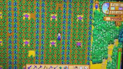 My current farm! 💜 It's kind of a silly tour ☺️