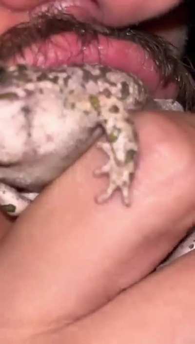 Froggy 